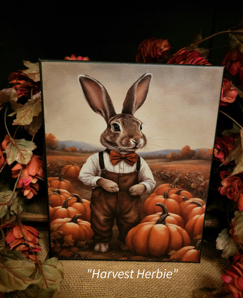 #HGC1054 Harvest Rabbit "HERBIE" 8X10 Canvas Print