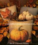 #PS6348 Set of 3 Harvest Pillows