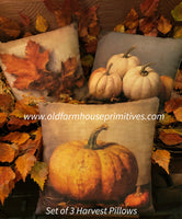 #PS6348 Set of 3 Harvest Pillows