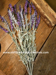 #MTF20991  Primitive English Lavender Bush 22 Inches