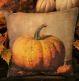 #PS6348 Set of 3 Harvest Pillows