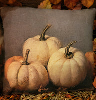 #PS6348 Set of 3 Harvest Pillows