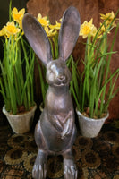 #N1804A "Paws Down" Blackened Resin Rabbit