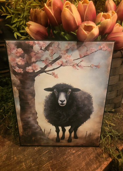 #HGC1096 Black Sheep Spring Canvas Print 8x10