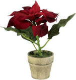 54680A-RD  Potted Red Poinsettia