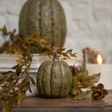 WS221193  3.75In Olive Green Tall Pumpkin