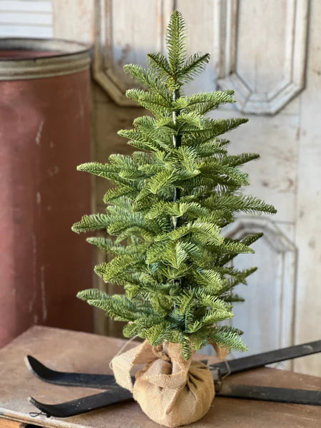 XHP8620  32In Shetland Spruce Tree 🌲