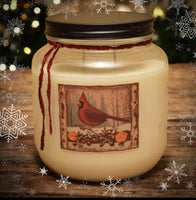 #CRANJAR64  "Cranberry Spice Simmer" 64oz Jar Candle