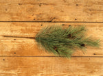 #G228658  24 Inch Long Needle Pine Spray