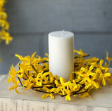 BR5617  4.5In Sunrise Forsythia Candle Ring